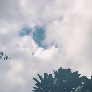 特黄一级毛片免费AAA
