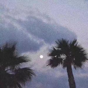 特黄一级毛片免费AAA
